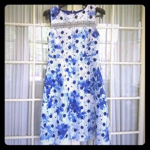 Blue and White Summer T Tahari Dress